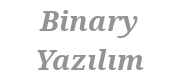 binary yazılım